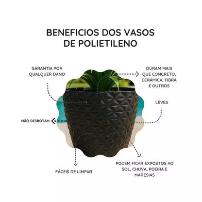 Vaso Moderno Diamante em Polietileno PP - Prato Incluso